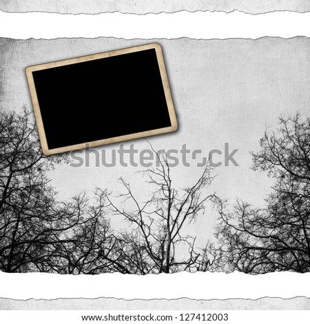 Blank photo frame on grunge paper