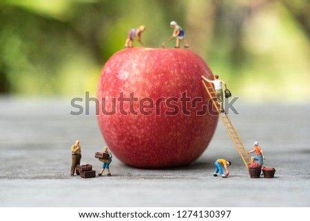 Miniature people, farmer climbing on the ladder for collecting red apples from big apple. Royalty-Free Stock Photo #1274130397