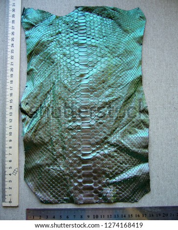 Green python skin, exotic snake skin. Skin texture