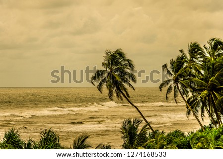 Beach landscapes of Sri Lanka