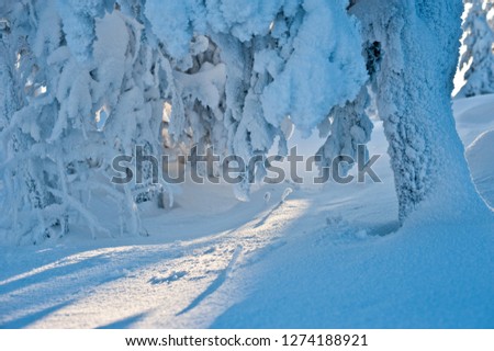 Snowy landscape from Vuokatti ski resort. Sotkamo Finland. Snowy background.