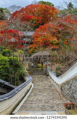 Hasedera Temple in Autumn with red maple leaves at Nara Prefecture, Kinki Region, Japan