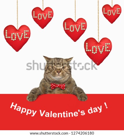 The cat is sitting near red rag hearts hanging on gold plated chains. Happy Valentine's Day. 