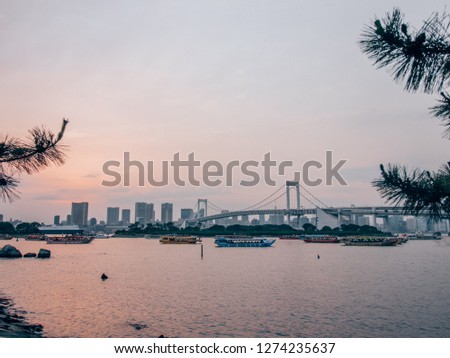 Beautiful cityscape of Tokyo while sunset over a river