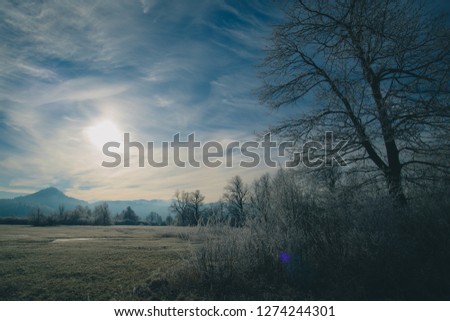 Panorama of cold winter environment of Planinsko polje field in Slovenia, Europe. Picturesque cold winter panorama without snow of fields and meadows lit by winter sun.