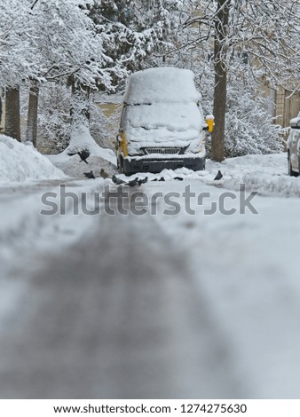 Snow covered the road, and road services do not clean the roads. Also, snow removal is prevented by cars abandoned on the streets.
