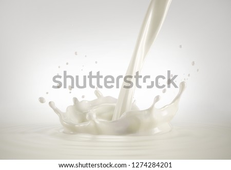 Fresh milk pouring making a crown splash in a milk pool. Side view, isolated  on grey/white background. Royalty-Free Stock Photo #1274284201