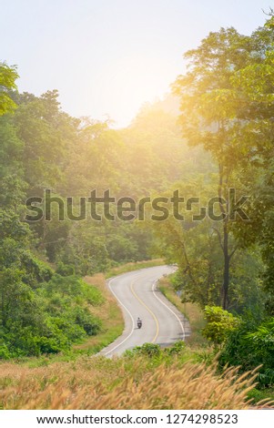 Curved road, s shape, green tree background, vertical image