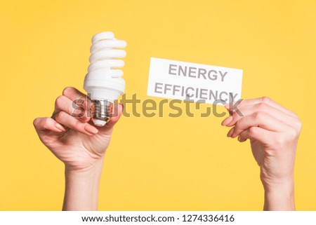 cropped view of female hands holding fluorescent lamp and paper card with lettering isolated on yellow, energy efficiency concept