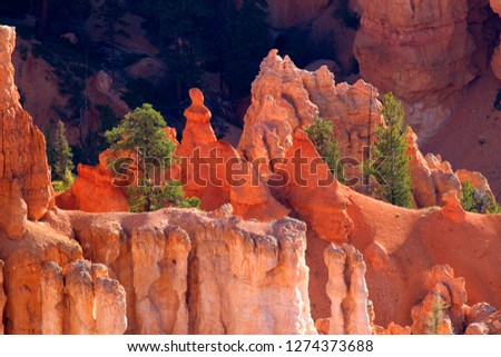 Hoodoos, Bryce Canyon National Park, Utah, USA. Hoodoos are tall skinny spires of rock that protrude from the bottom of arid basins and "broken" lands.