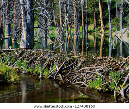 Beaver Dam and Pond, Eastern Sierra, California Royalty-Free Stock Photo #127438160