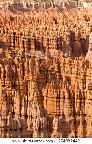 Hoodoos, Sunset Point, Bryce Amphitheater, Bryce Canyon National Park, Utah, USA. Hoodoos are tall skinny spires of rock that protrude from the bottom of arid basins and "broken" lands.