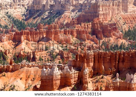 Rock formations and hoodoos, Sunset Point, Bryce Amphitheater, Bryce Canyon National Park, Utah, USA. 