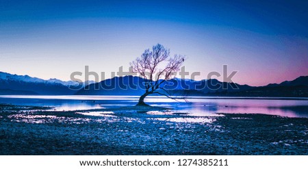 Blue sunset with wanaka tree