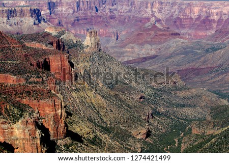 Roosevelt Point, Grand Canyon North Rim, Grand Canyon National Park, Arizona, USA.