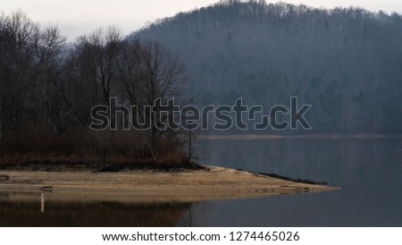 A beach at the lake