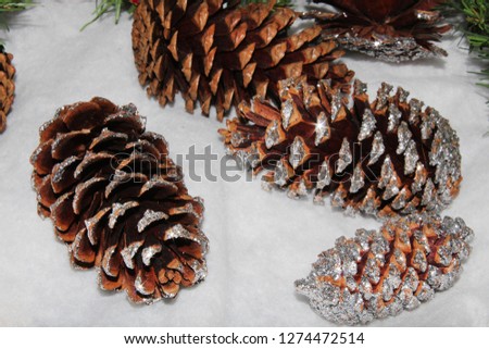 close up of a pine-cone from different angles with room for text. 
