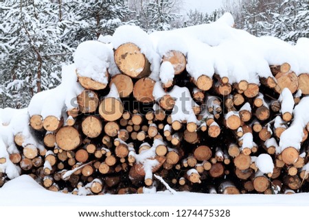 Winter, cold, snowing. Forest sawn for processing. Stacked in a pile. snow is poured no