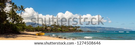 View of the beach and ocean or sea. Sunny weather. Some white clouds in the blue sky. Empty space on the right side of the frame. Stones, palm trees, summer, journey. Sand, good mood. Panorama 5