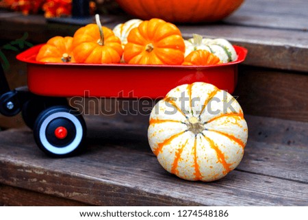 Little red wagon with pumpkins 