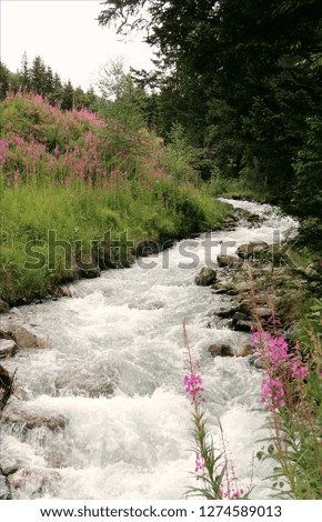 Wild Water River in the dolomites alps