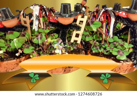 Many plants, lucky charm clover with chimney sweep
