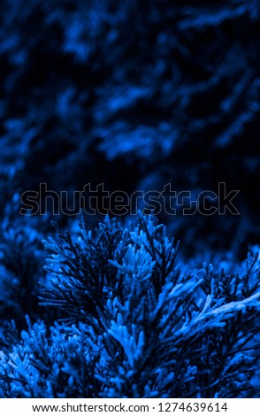 Floral background in neon color. Background macro grass, blurred 
