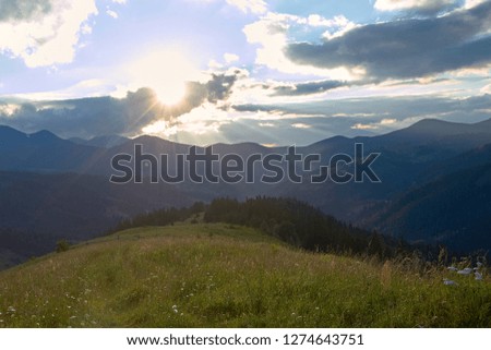 mountain summer valley in the rays of the sun.