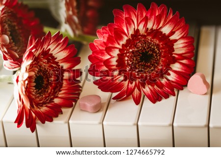 Red Flowers and Candy on a Piano Keyboard close up