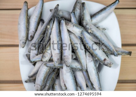 Bunch of frozen sprat fish 