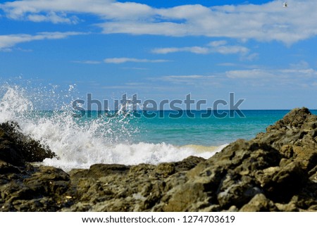Seashores of New Zealand; beautiful seascape and bright blue ocean. Rocky foreground with clear and colourful waves.