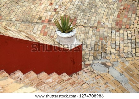 potted plant on red wall with stairs in saint croix