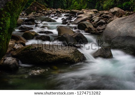 River with smooth waters running in the forest