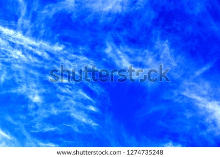 The blue sky