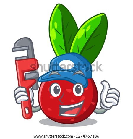 Plumber fruit yangmei isolated on the mascot