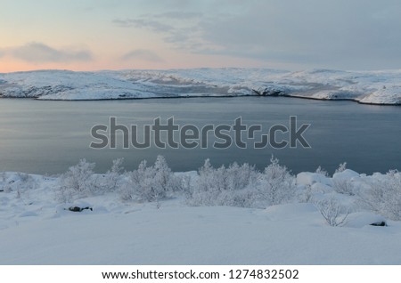 Winter landscape, trees covered with frost, shore, sea.