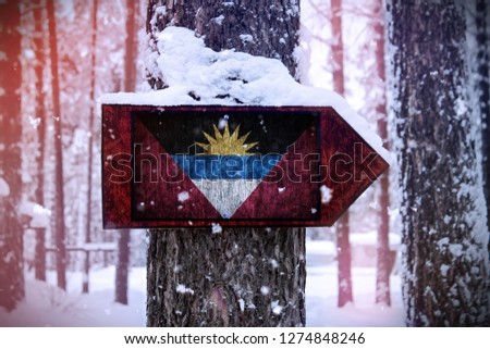 The Antigua and Barbuda flag attached to the tree as a sign.