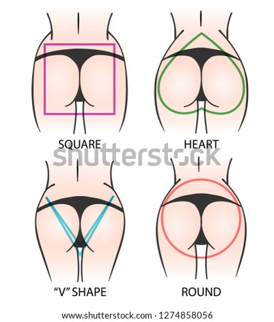 Set of main shapes of buttocks. Woman bodies in string pants.   illustration.