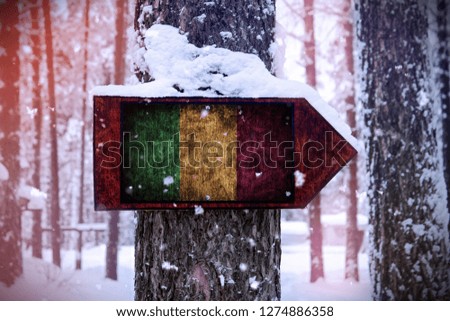 The Mali flag attached to the tree as a sign.