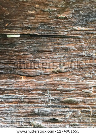 old wood panel interior texture, Wood texture with natural patterns, Wood texture background