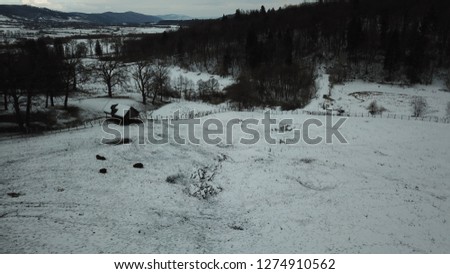 Romania snow landscape