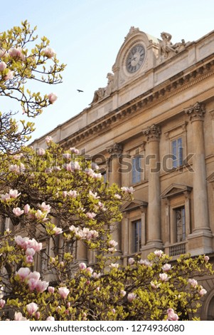 Spring view to the Palace of the Venerable Cathedral Factory in Milan with magnolia flowers in a sunny happy day.