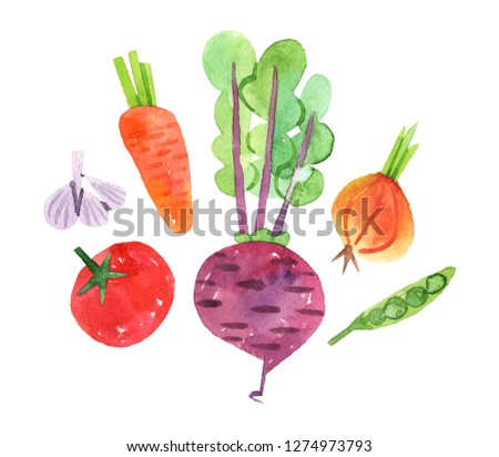 hand drawn set with watercolor vegetables. food. onion, beet, beetroot. garlic, carrot pea tomato - Illustration with clipping mask