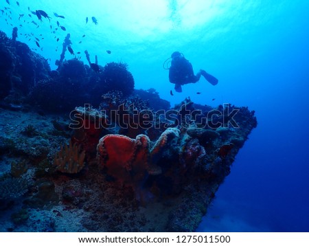 Scuba diving in Rabaul , Kokopo on Atun Wreck located next to Little Pigeon Island . East New Britain , Papau New Guinea scuba diving .  Royalty-Free Stock Photo #1275011500