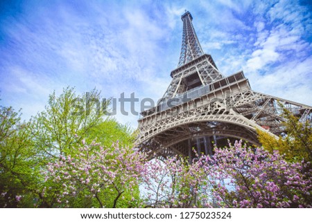 Eiffel tower with the blossoming tree, Paris