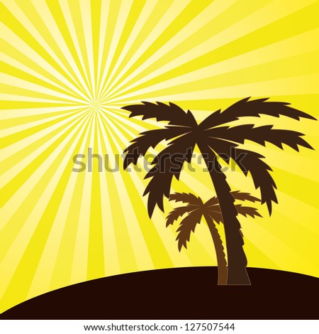 Vector illustration of a tropical sunset and palm trees.vector