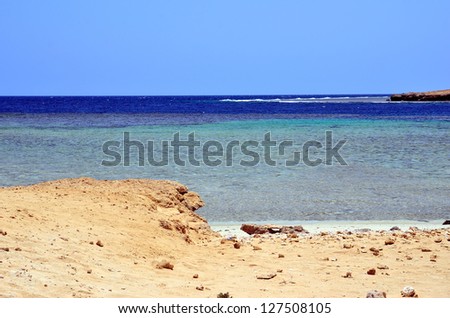beach with coral reef marsa alam