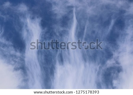 Wispy Clouds - Photograph of high, wispy clouds against a bright blue sky. 