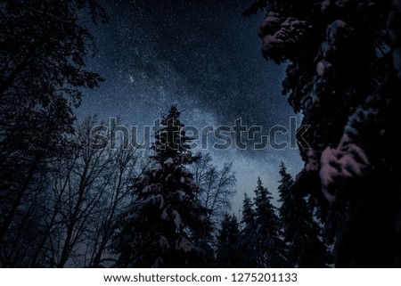 Under the starry sky of Lapland