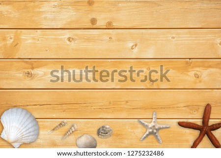 Summertime background with starfish and seashells on orange color wood planks backdrop. 